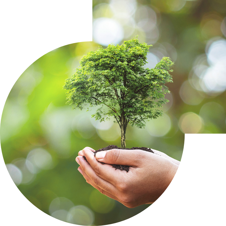 关怀人类、文化、环境与社会